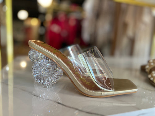Clear Seashell Slides