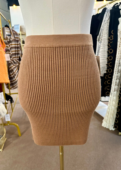 Crave You Mini Skirt