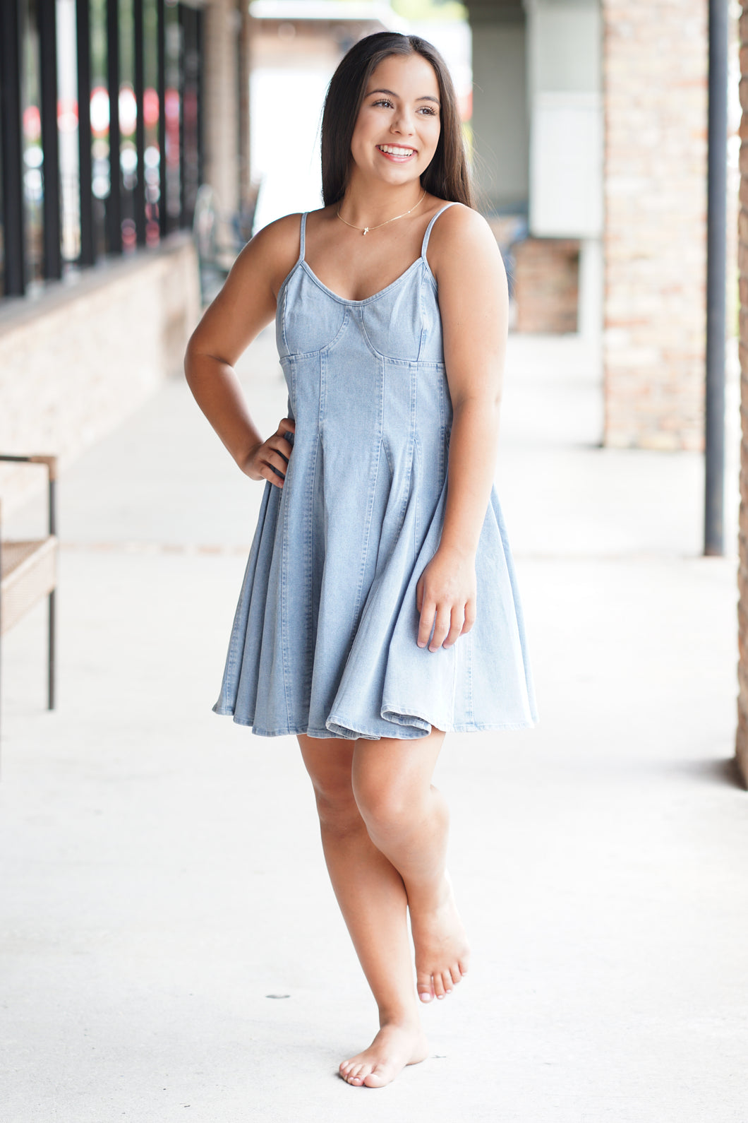 Fit Flare Denim Dress