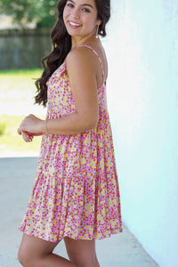 Pic-nic Perfection Dress