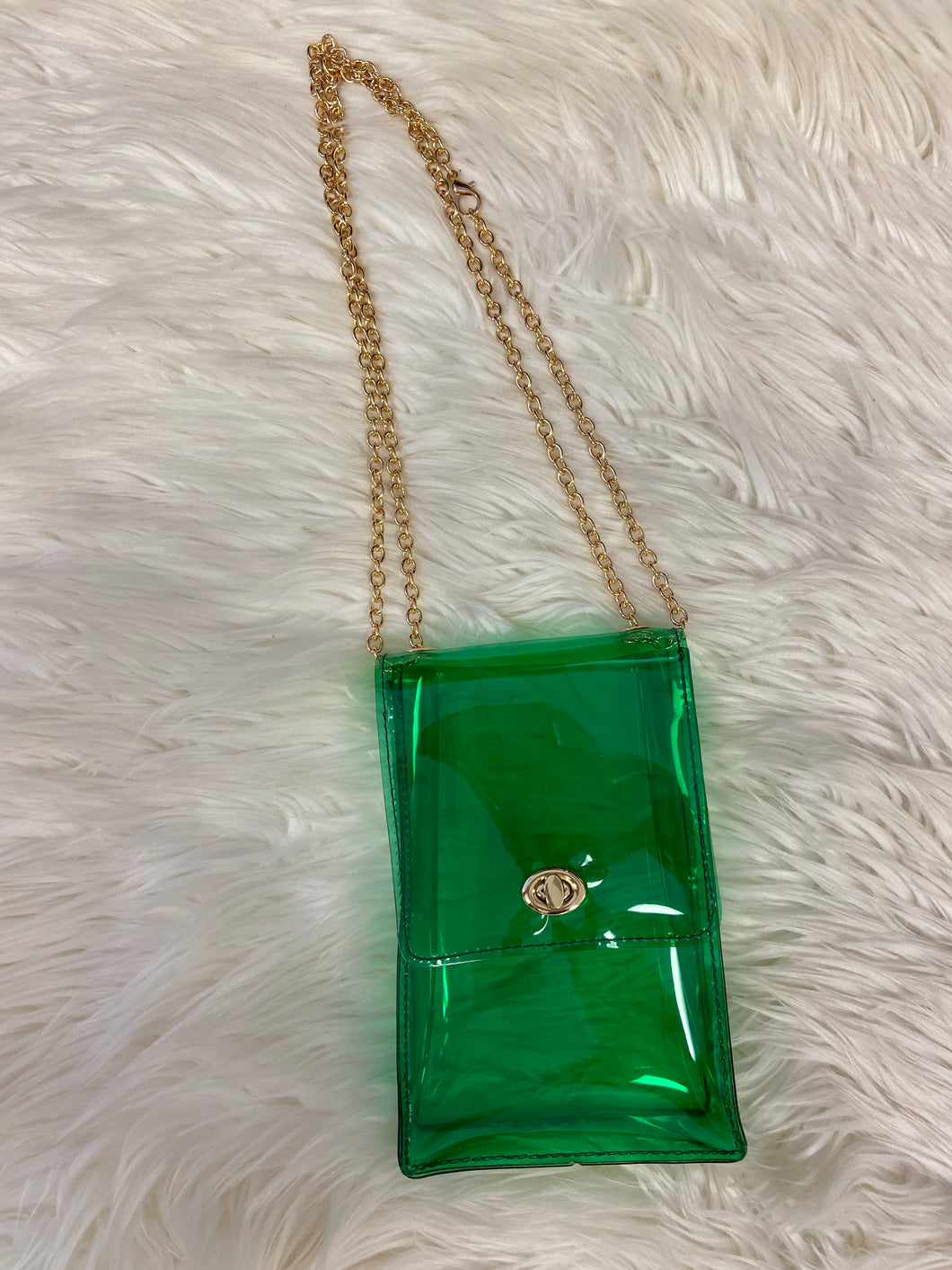 Gold Chain Tinted Small Purse
